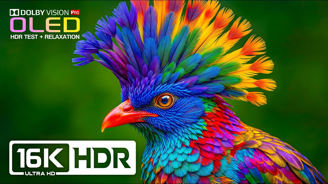 World's Best Animals & Stunning Nature | 16K Dolby Vision HDR 120fps (8K/4K Video TV)