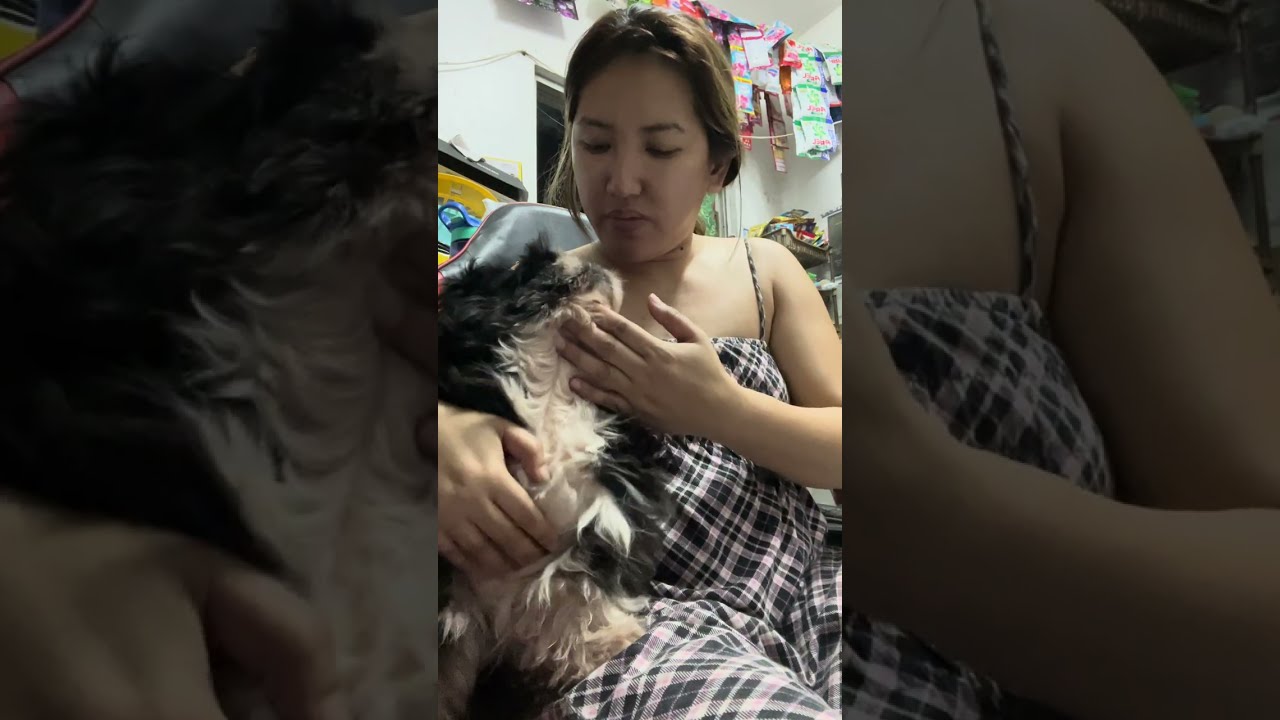 MAY UBO SI RAIKO | GAMOT SA UBO SA ASO | PAANO PATIGILIN ANG REVERSE SNEEZING