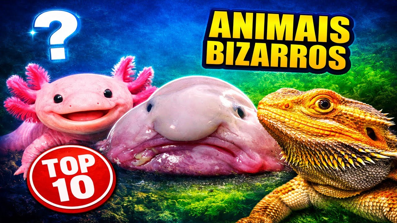 10 criaturas EXÓTICAS que NINGUÉM conhece