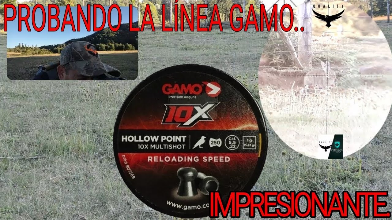 LINEA GAMO PROBANDO EN  CACERÍA. NUNCA ME LO ABRÍA IMAGINADO...