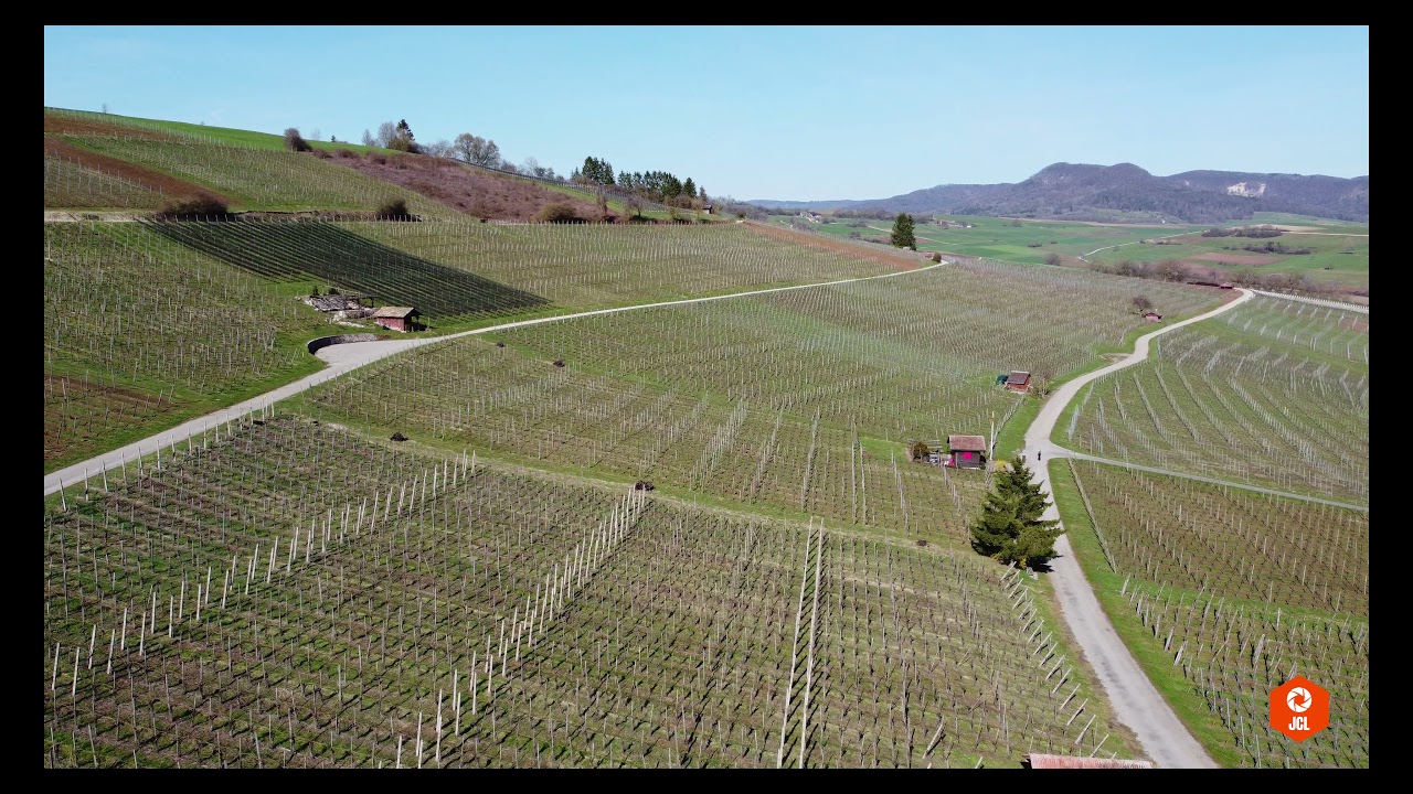 4K Nature DJI Mini 2 Drohnenvideo Chillout Lounge Switzerland Klettgau Hallau Reben