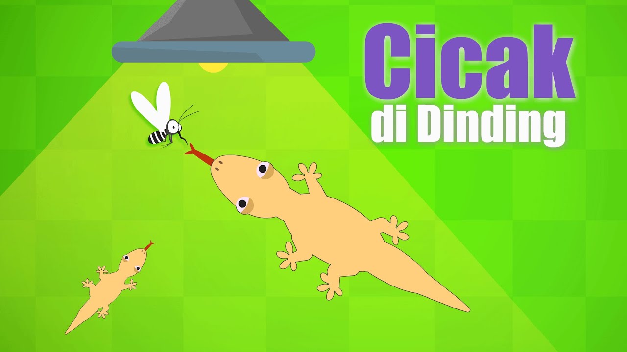 Cicak di Dinding - Lagu Anak Indonesia Populer