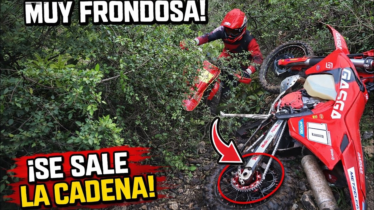 [POV] Rambla frondosa 🌲💥 | Vegetación cerrada y cadena fuera || Hardenduro #dji #enduro #hardenduro 