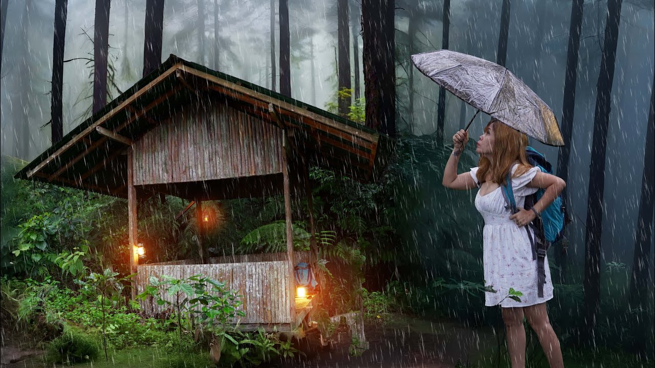 An abandoned log cabin saved me from the heavy rain in the rainforest. Solo overnight survival