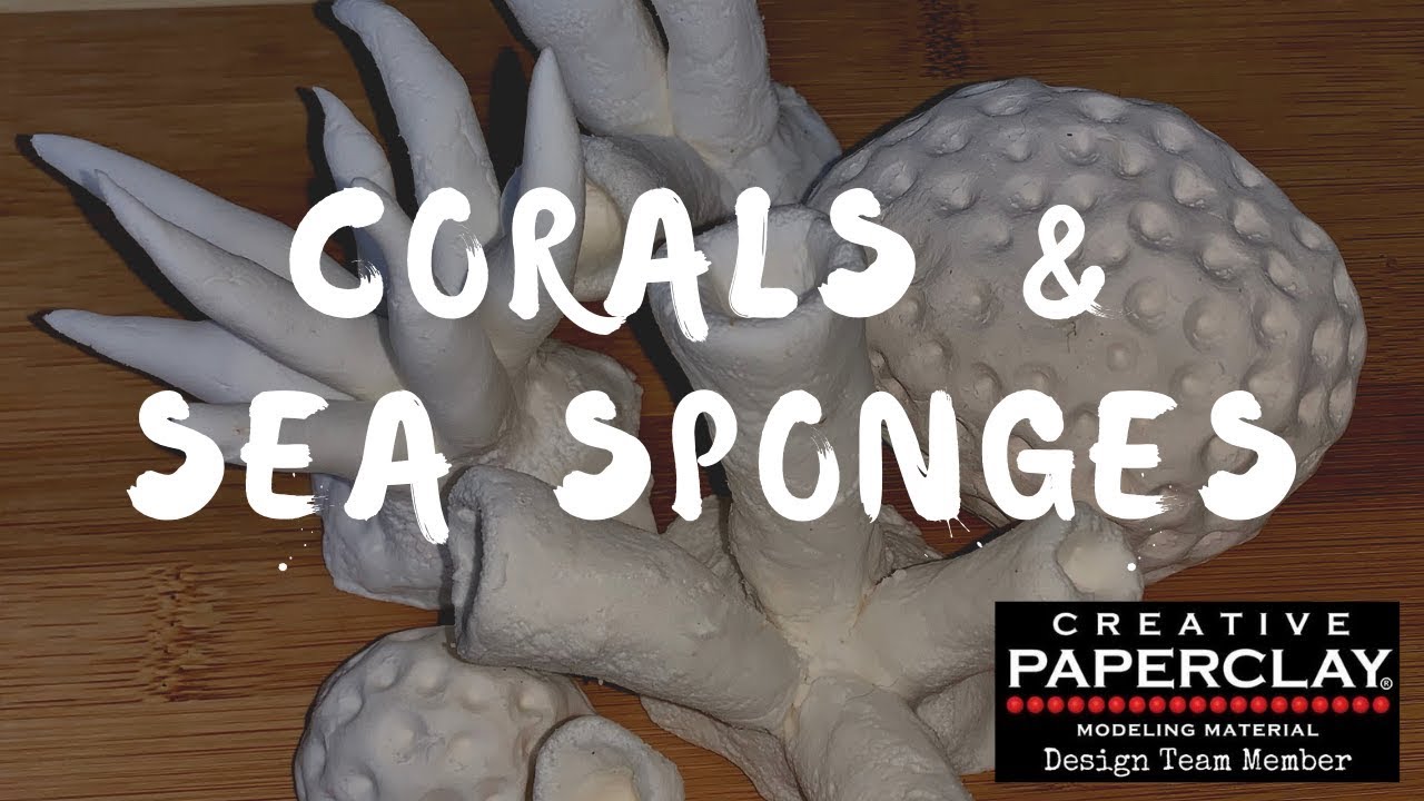 Corals & Sea Sponges with Creative Paperclay®