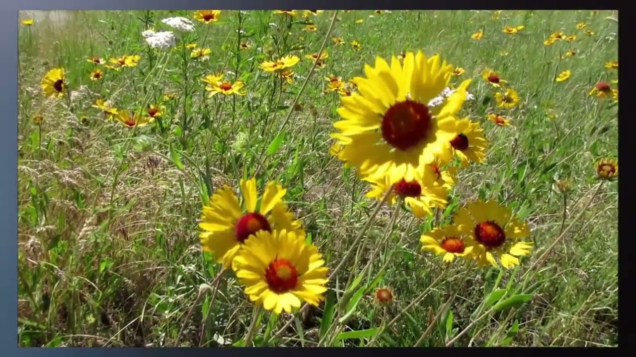 Activate Your Solar Plexus Chakra in 10 Minutes | Confidence, Inner Power & Divine Masculine Energy