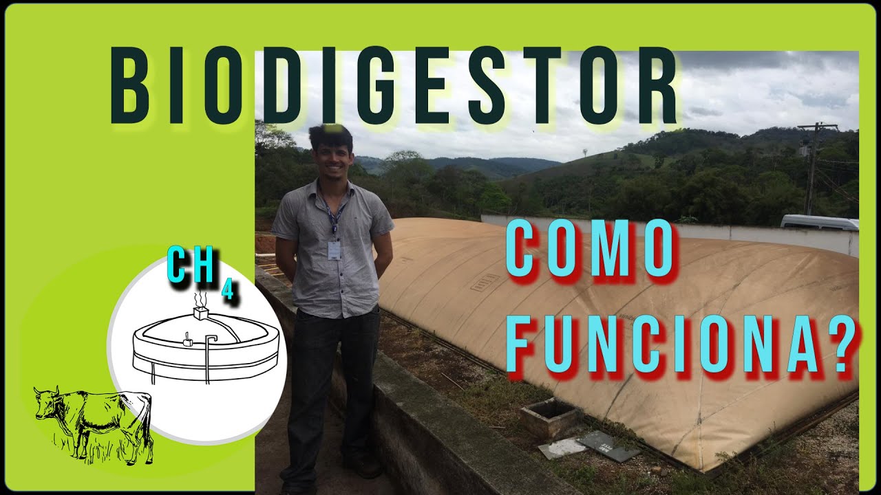 Geração Distribuída - Como funciona um biodigestor (biorreator)?