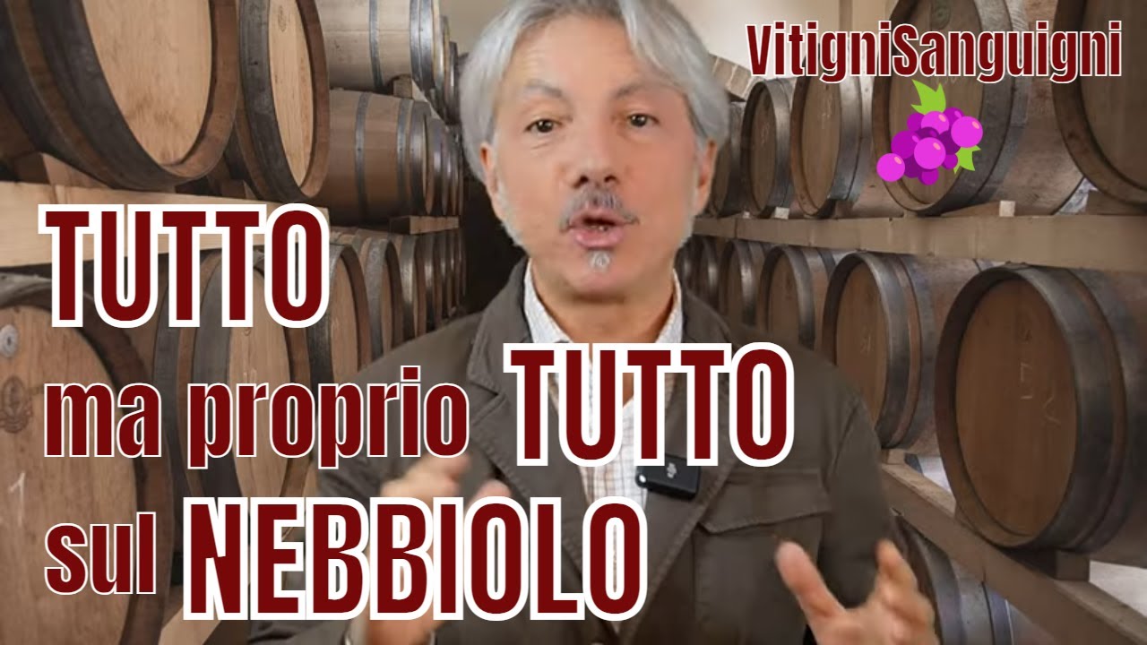VitigniSanguigni: OGGI VI RACCONTO TUTTO SUL NEBBIOLO!