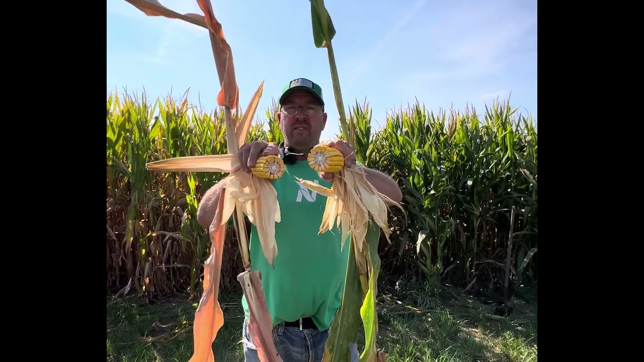 The benefits of BlackMax 22 with Humic Acid on crown rot and health with Loveland’s RootZone Carbon 