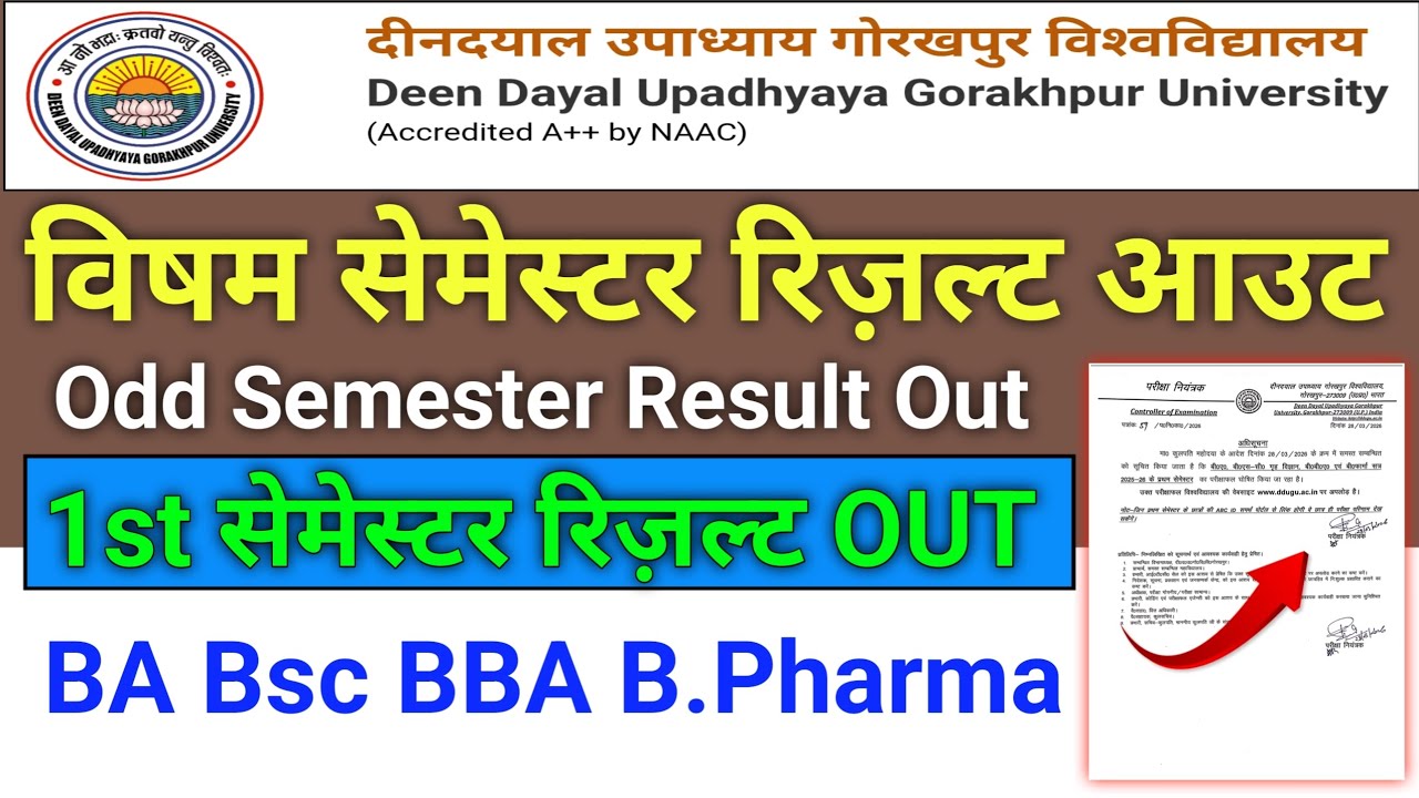 🔥 DDU Result 2026 OUT | 1st Semester Result जारी #dduexam2026 