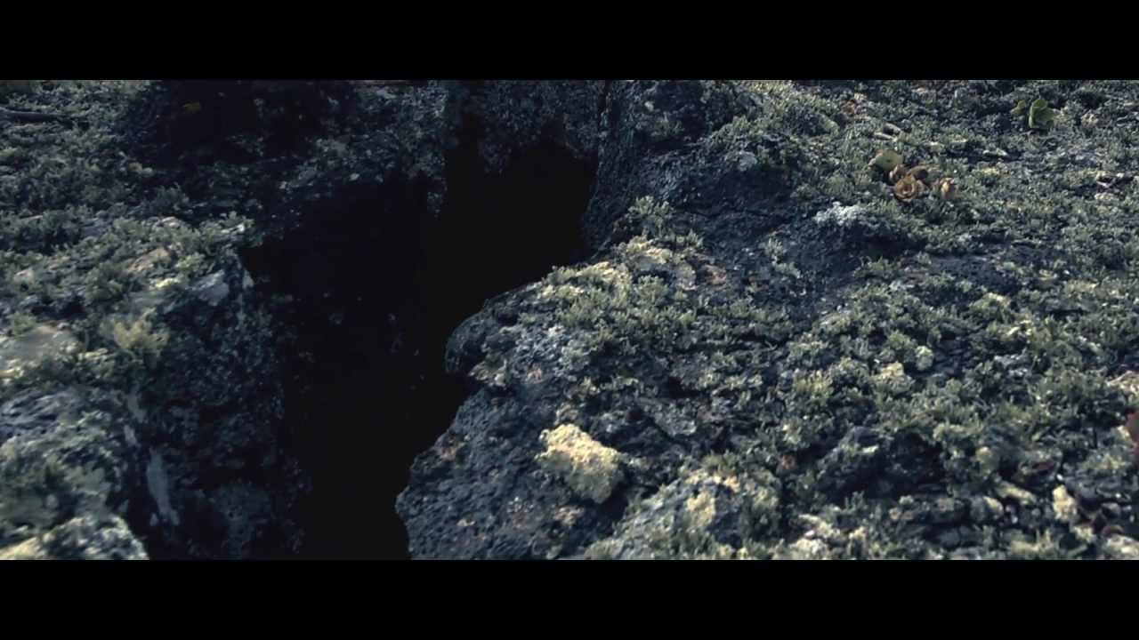 TEXTURES - Reaching Home
