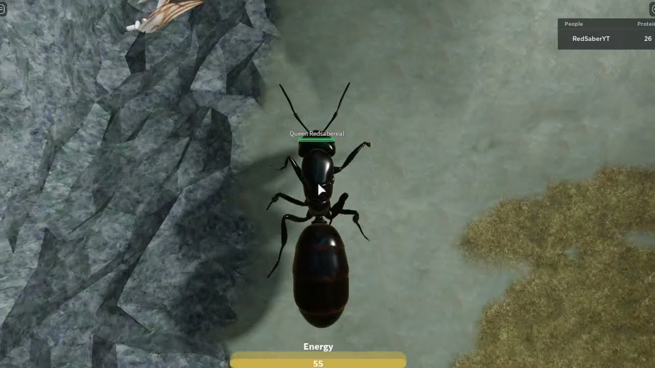 How to grow a sustaining, fast and functioning colony using this tutorial. Ant life V2 (Read desc)