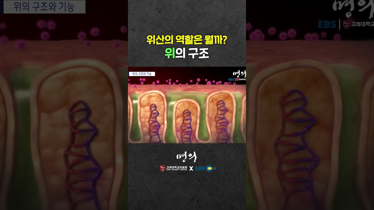 위의 용량은 얼마나 될까?