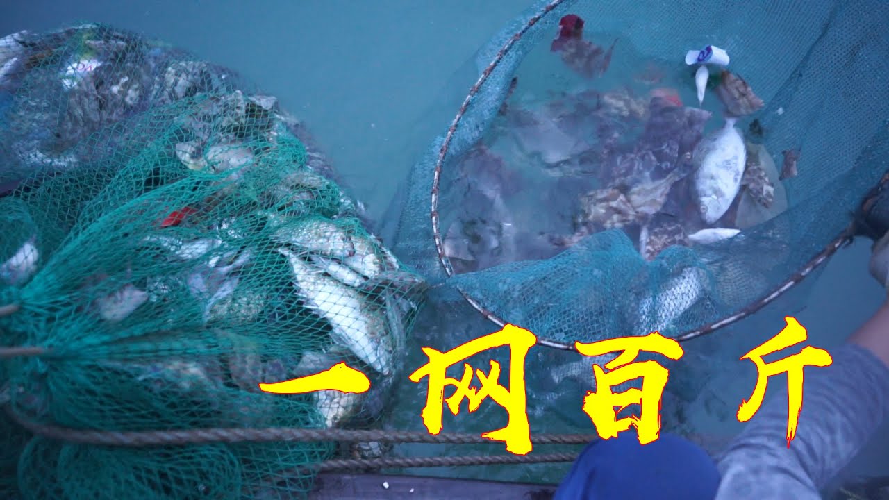 台风后迎来大爆网，一网就有上百斤的渔获，阿兴估计价值几千（第一网）