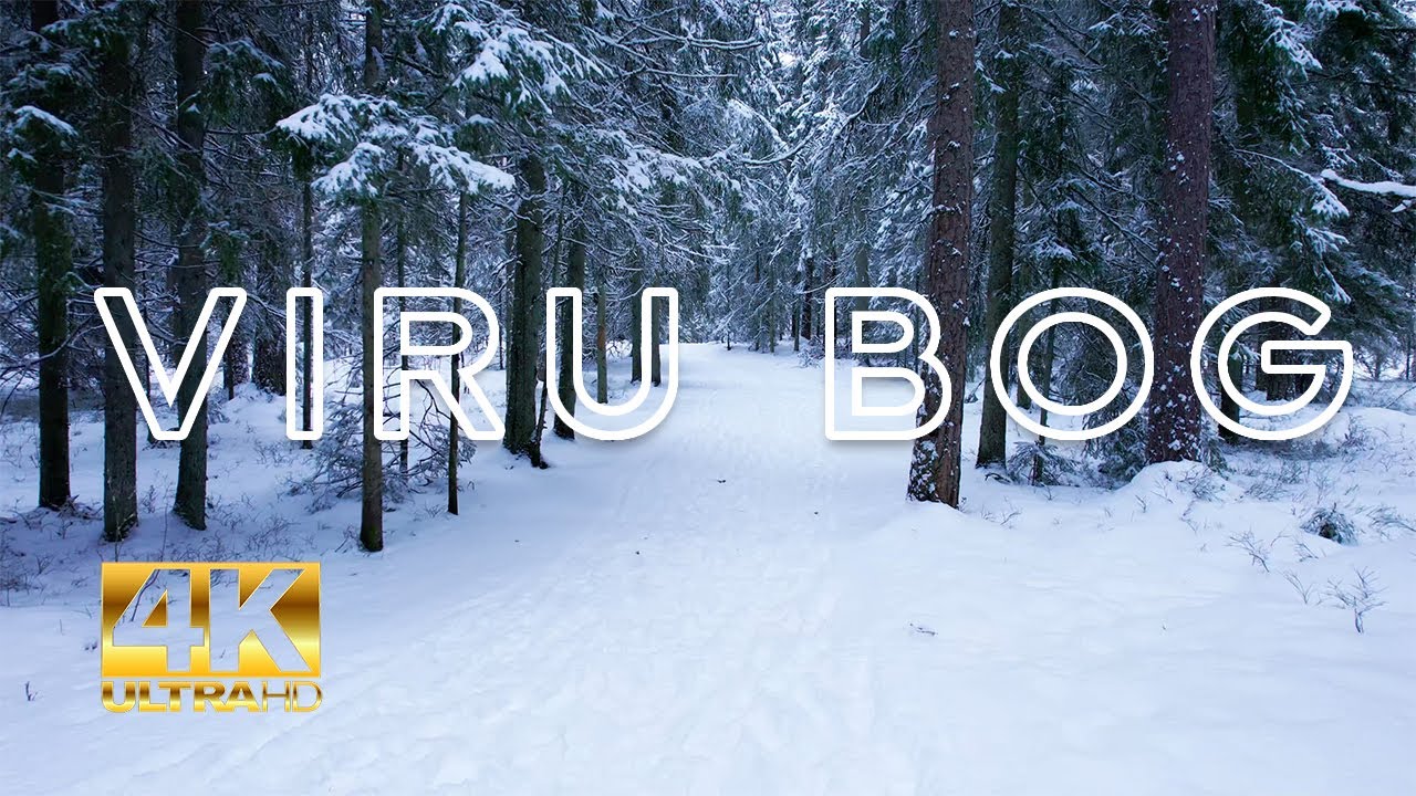 VIRU BOG, HIKING TRAIL, ESTONIA, 4K, DRONE #drone #snow #4k #winter #hikingtrails #estonia