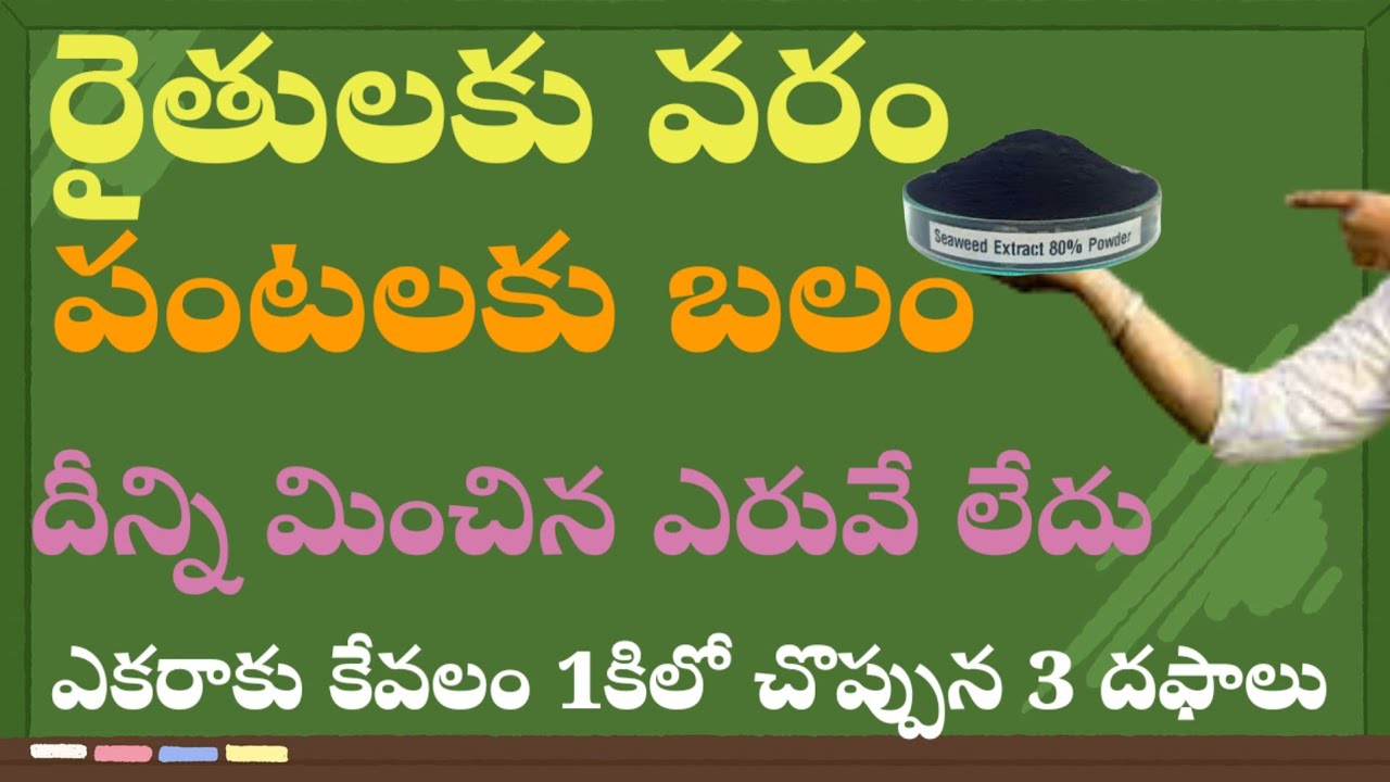 రైతులకు వరం పంటలకు బలం దీన్ని మించిన ఎరువేలేదు ఎకరాకు కేవలం 3 కిలోలు మాత్రమే వాడండి