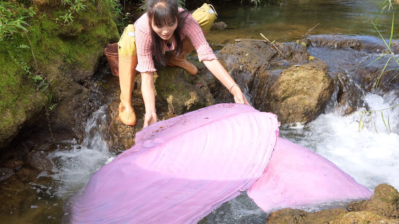 😘Unexpected Pearl: Teenage Farmer’s Daughter Opens Bizarre River Shell, Finds Glistening Treasure