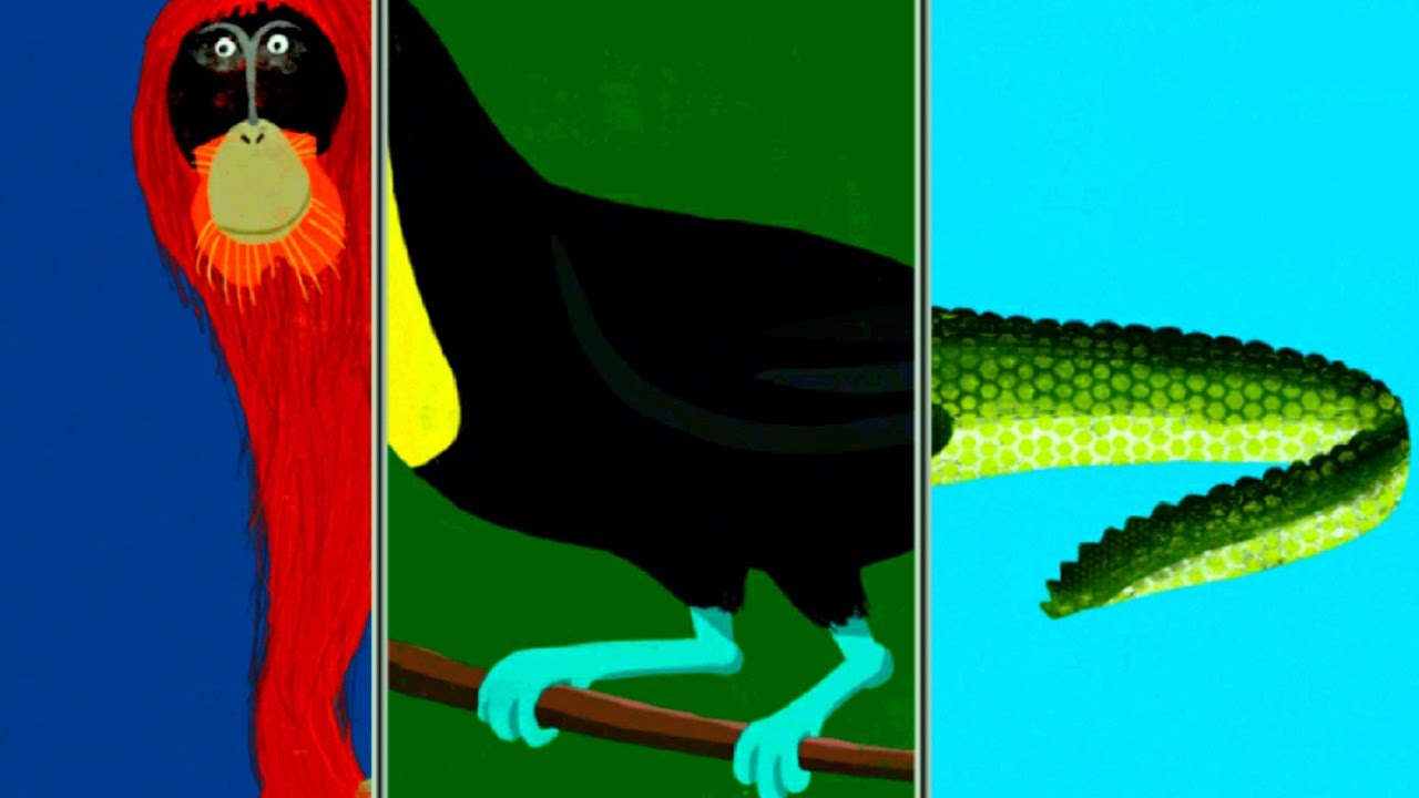 Kids and Babies learn Animals with 