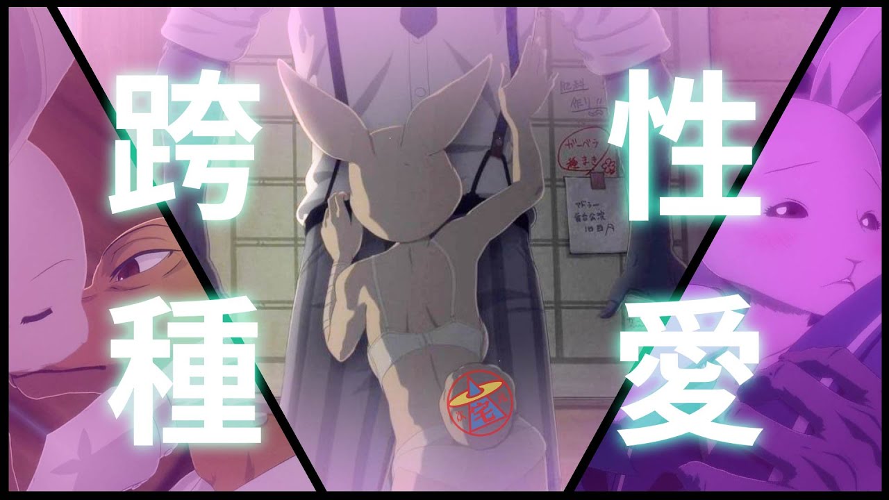 純情狼愛上碧池兔 跨種族的禁忌情慾到底行不行 《Beastars 》 《動物狂想曲》看看狼與兔到底誰被吃掉?【宅次元】