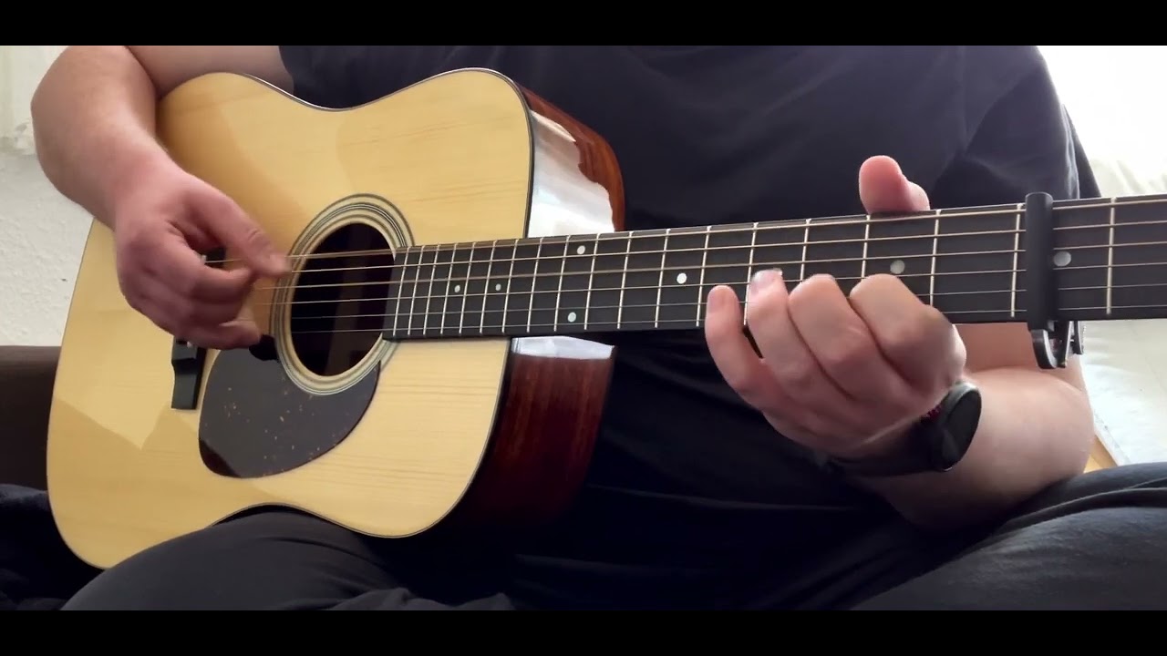 Neil Halstead - Digging Shelters (cover)