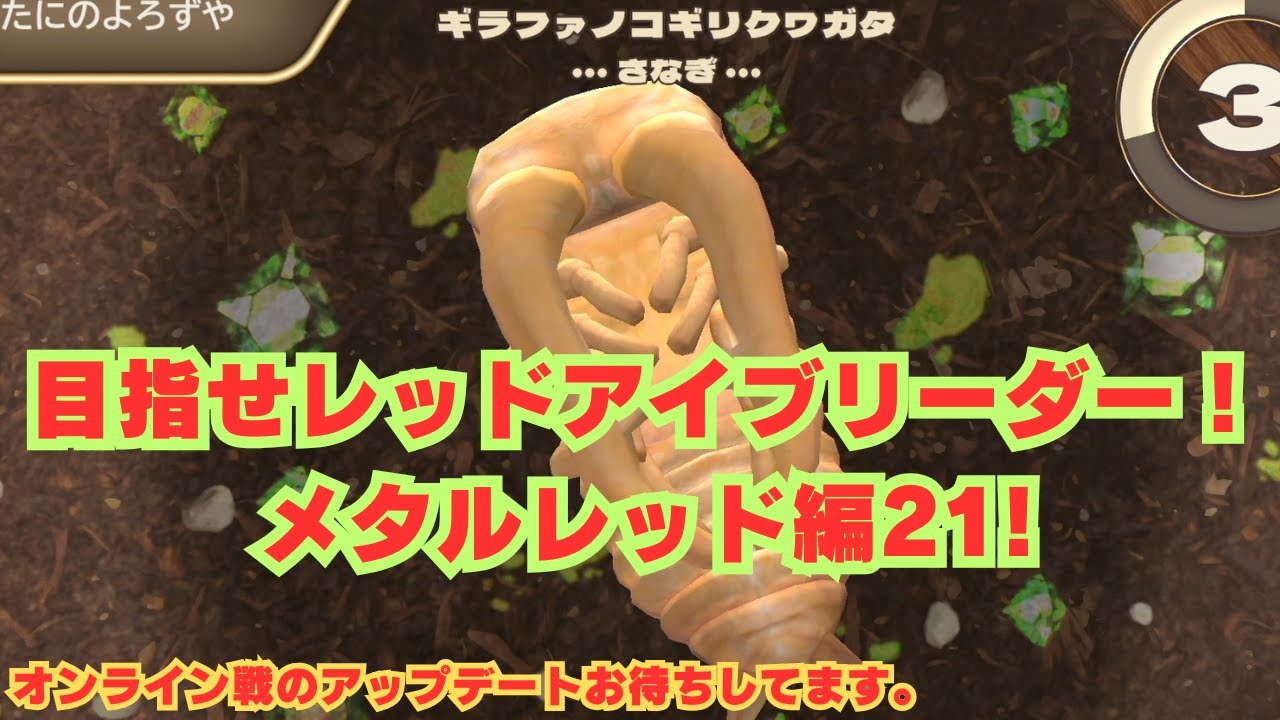 【カブトクワガタ】 #赤目育成メタルレッド編21　ライブ！