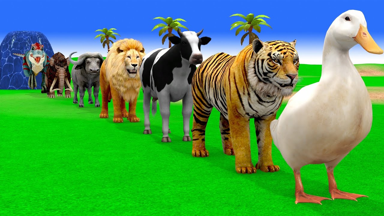 Long Slide Game with Cow Elephant Gorilla Hippopotamus Tiger 3d Animal Game Funny 3d Animals