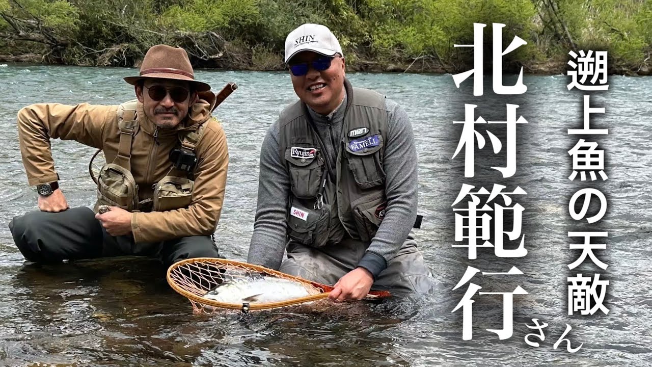 【 子吉川・桜鱒 】北村範行さんが、ガチで遡上魚の天敵だった。
