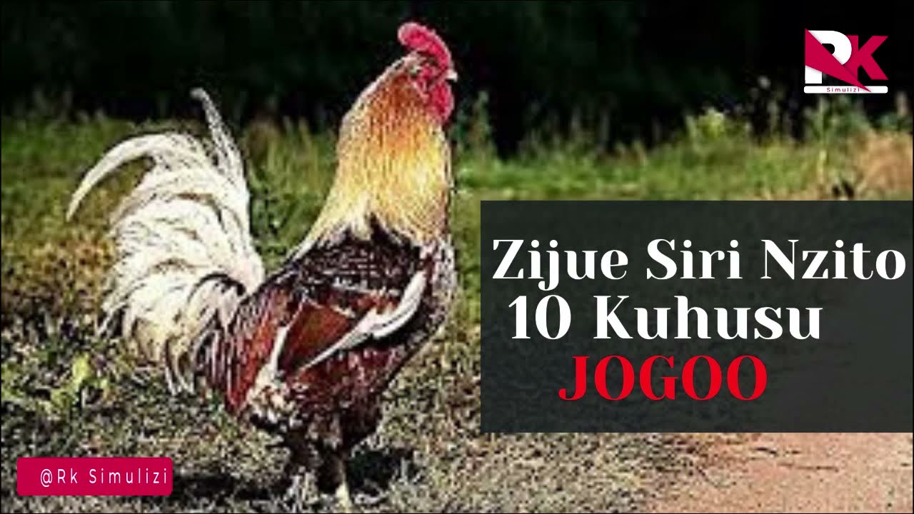 DENIS MPAGAZE SIRI NZITO 10 KUHUSU JOGOO