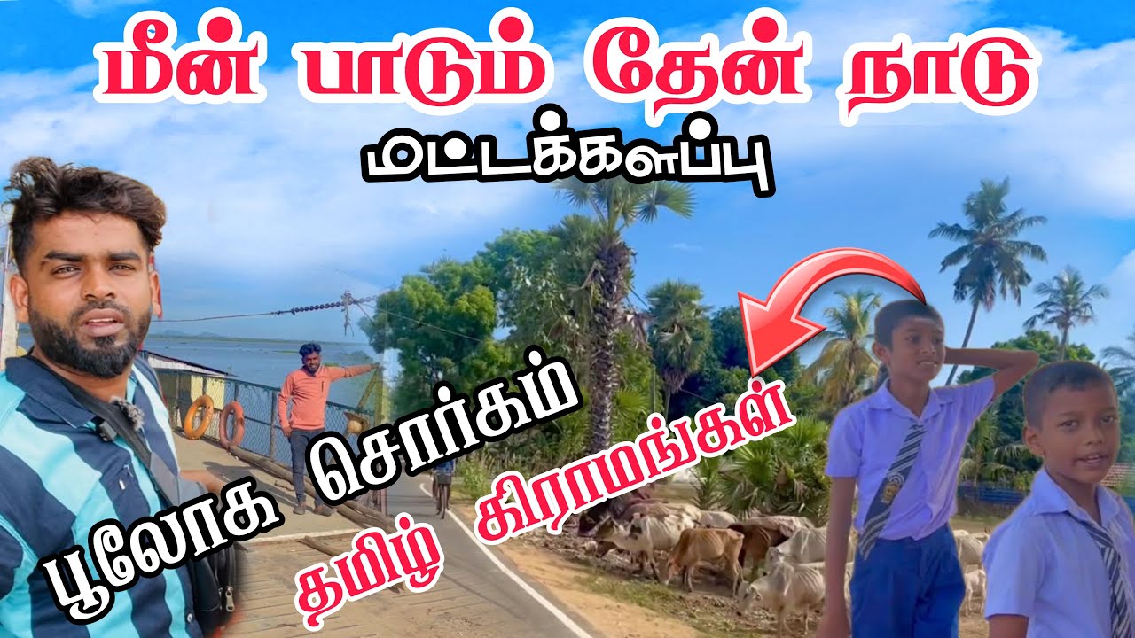 மீன் பாடும் தேன் நாடு மட்டக்களப்பு | Pk vlogs Tamil | BATTICALOA #travel #batticaloa #pkvlogstamil