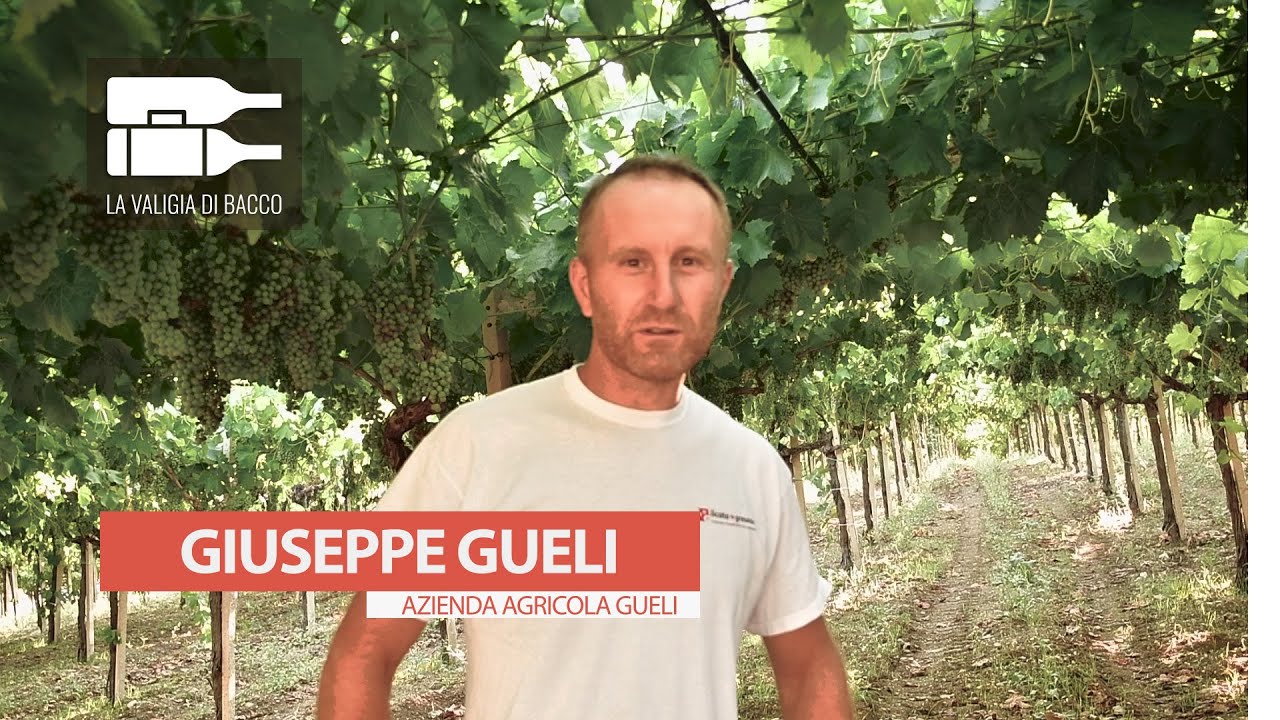 Gueli - La valigia di Bacco