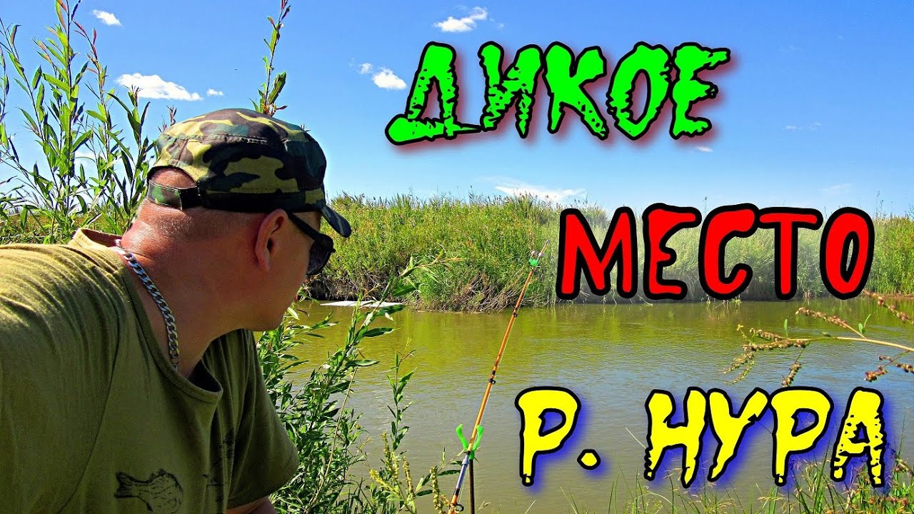 ДИКОЕ МЕСТО, РЕКИ НУРА!!! Рыбалка на Нуре 2023. #рыбалка #казахстан #река #нура #язь