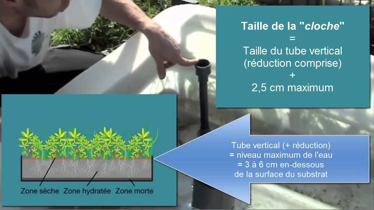 Aquaponie: explications pour l'installation du siphon-cloche