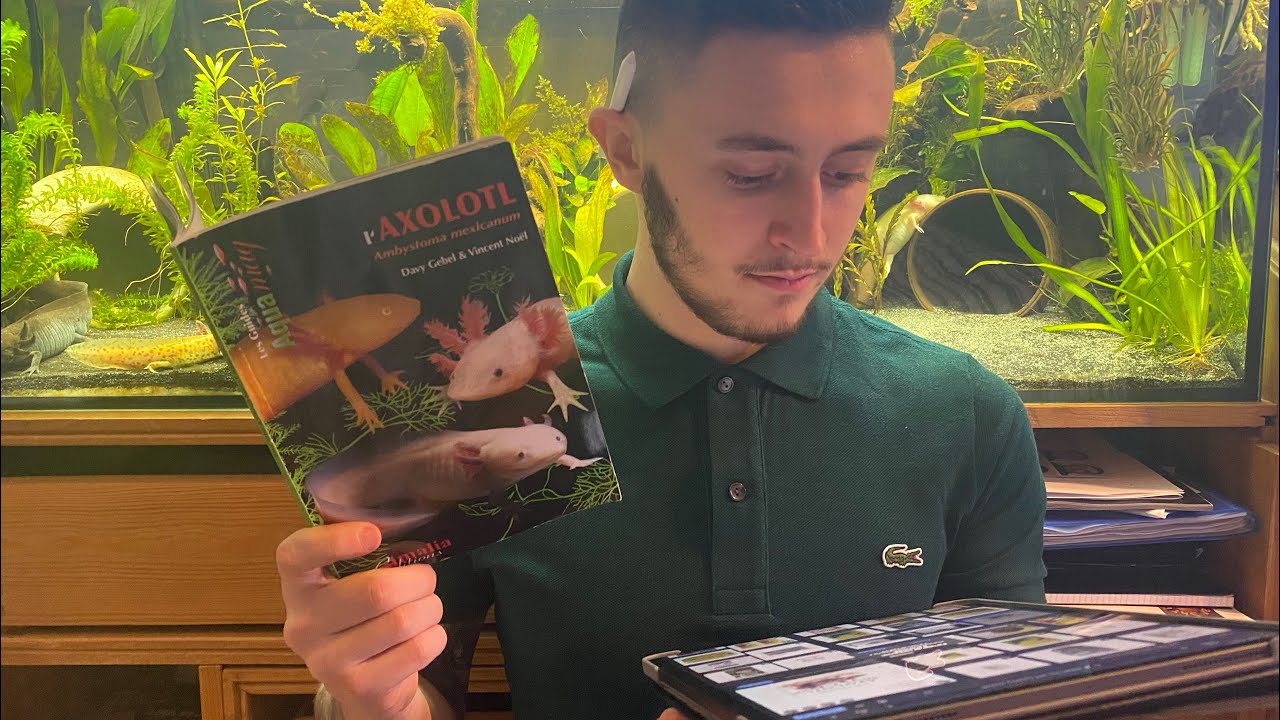 L’AXOLOTL DE À à Z