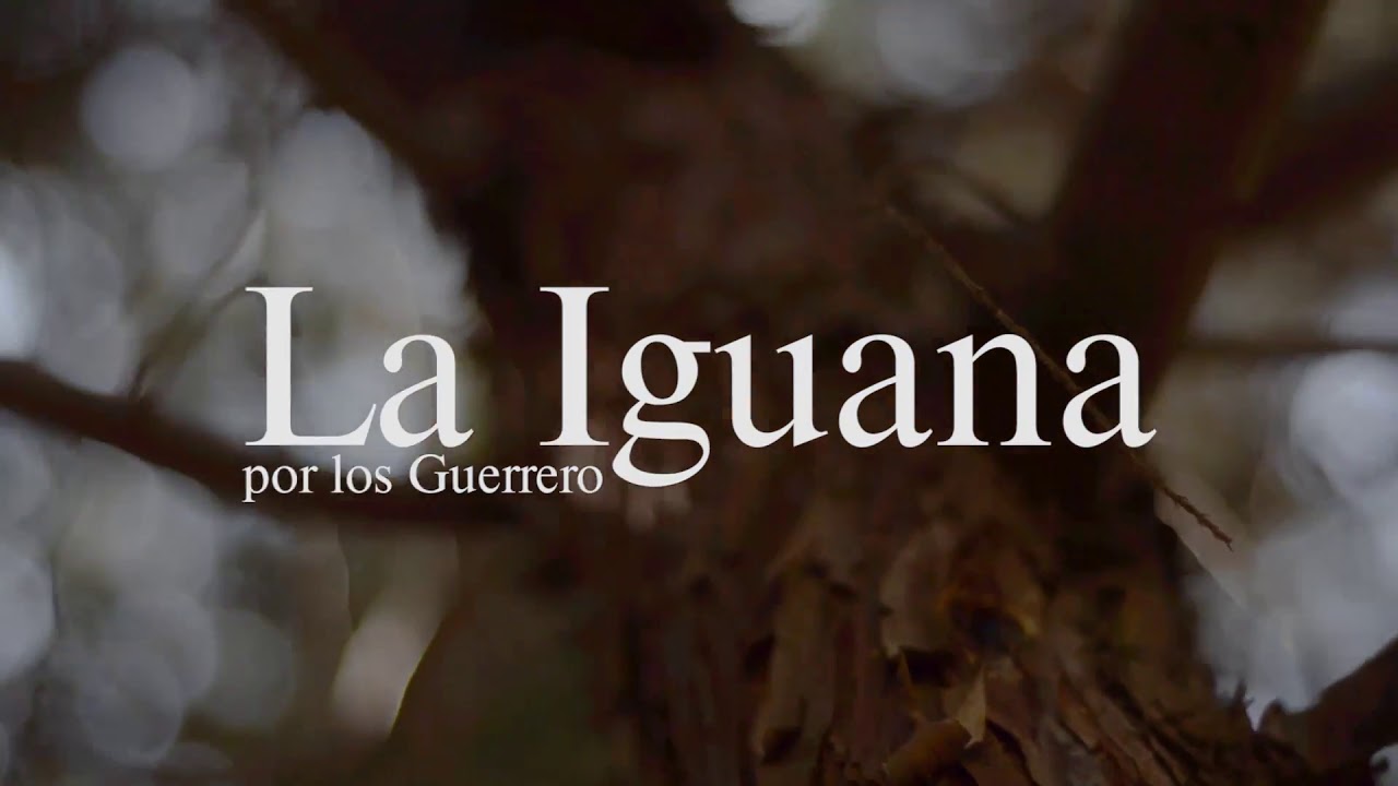 La iguana - Los Guerrero de Tixtla