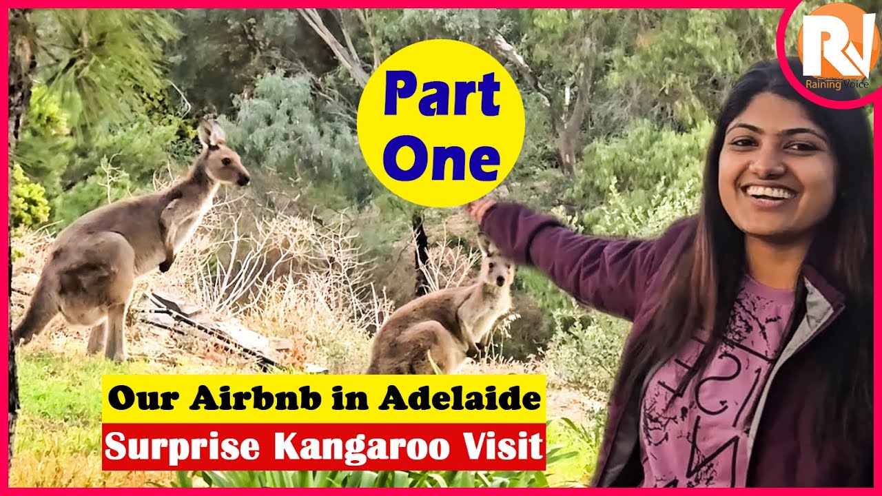 Our Airbnb in Adelaide and Surprise Kangaroo Visit - Part 1 | At Adelaide E01 | Vlog #114