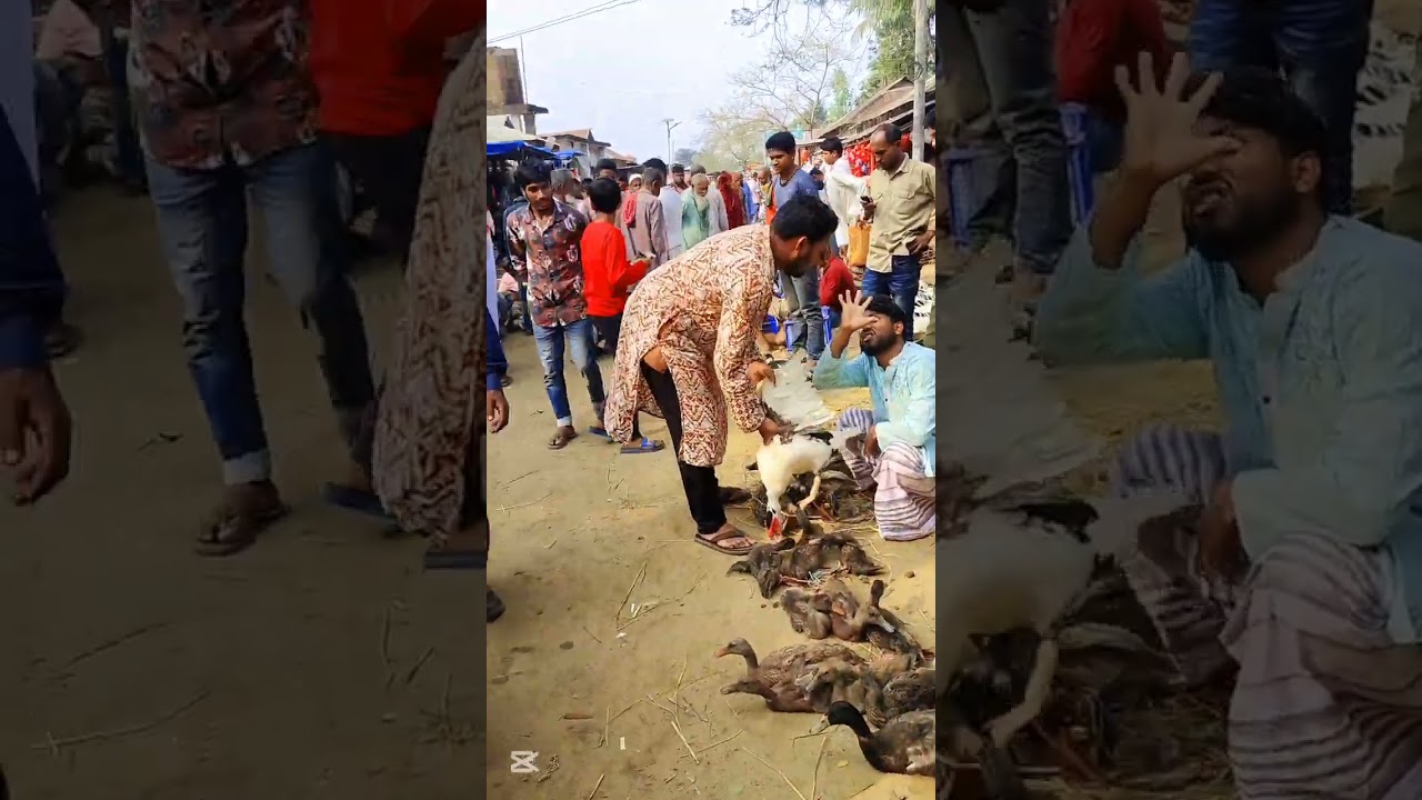 বাঘায়তলা বাজারের সেরা বিনোদন 🙆‍♂️😄🤣