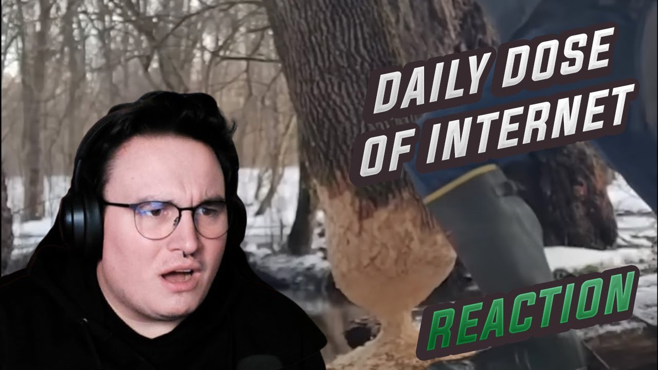 Daily Dose Of Internet ''Tree Defies Physics'' | Conner Reaktion