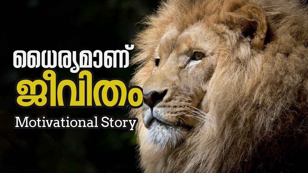 ധൈര്യമാണ് ജീവിതം/BE BRAVE / #staybliss #malayalam #motivation