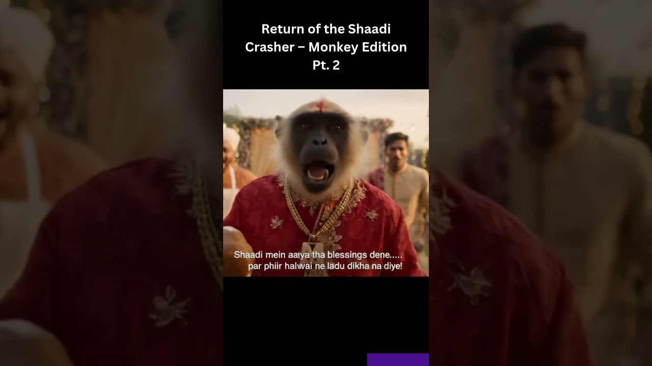 Monkey in Wedding &ndash; Part 2  Laddu Chor at Indian Shaadi