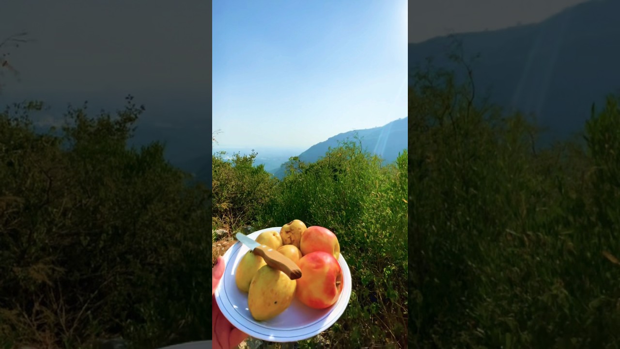 Dreams come true🥹 #shortvideo#food#travel#whatsinmyplate#iiui#vlog#foodie 🥳🍭