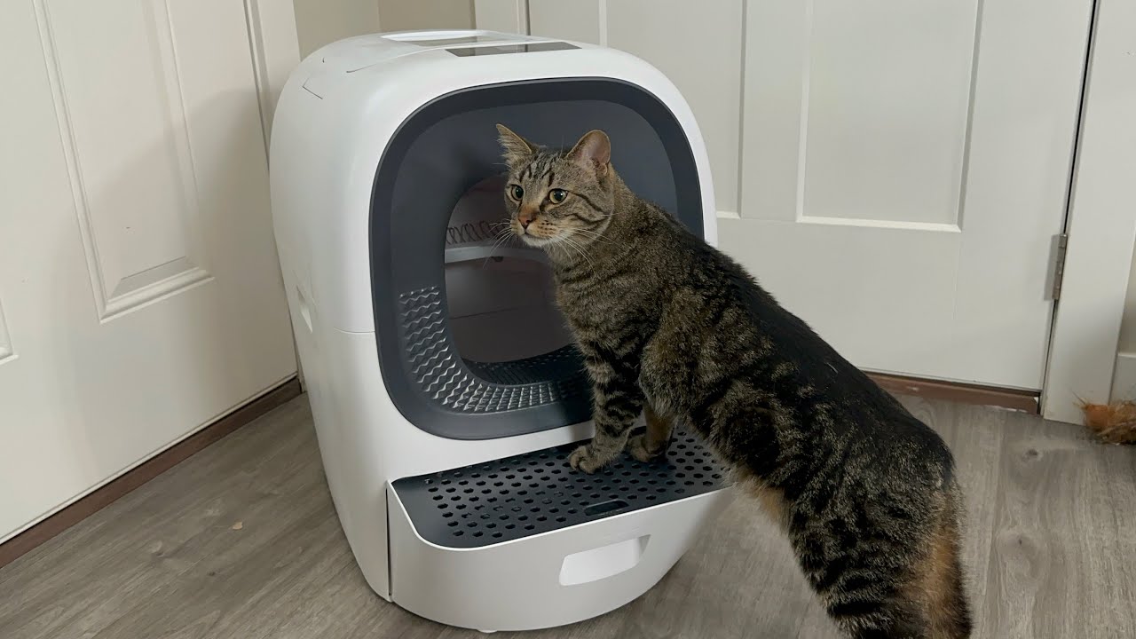 LALAHOME Real Scooper - Automatic Litter Box Unboxing, Review & Walkthrough!