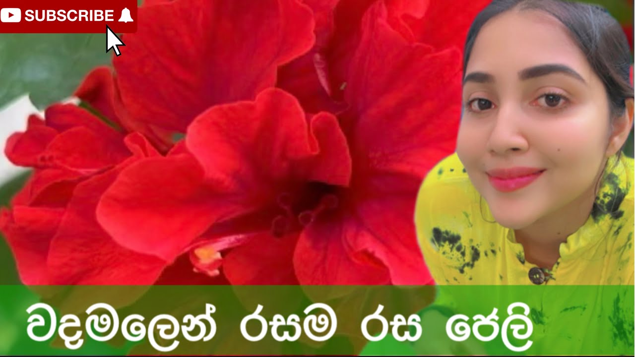 අද lunch මෙනු එක Thai Rice/  වදමල් ජෙලි / කැරමල් පුඩින් 😍 #villagevlog #ridmapilapitiya