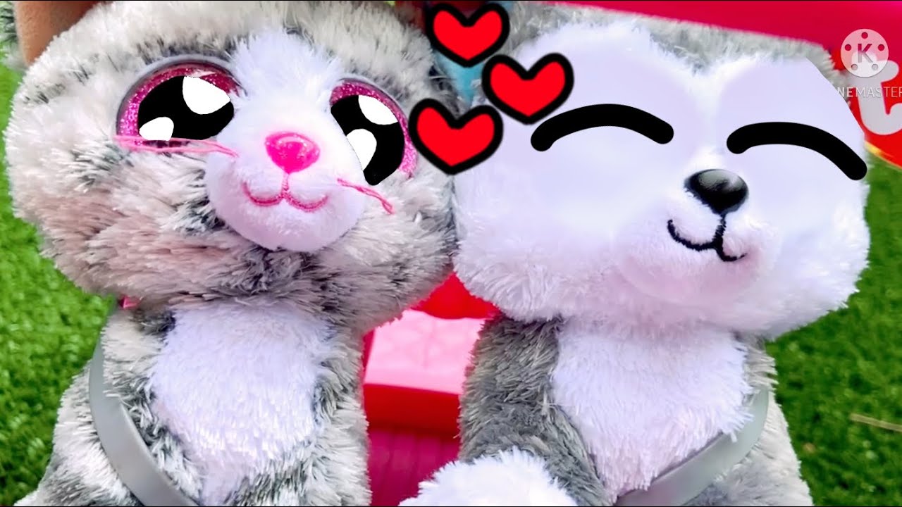 2002 | Beanie Boo Music Video