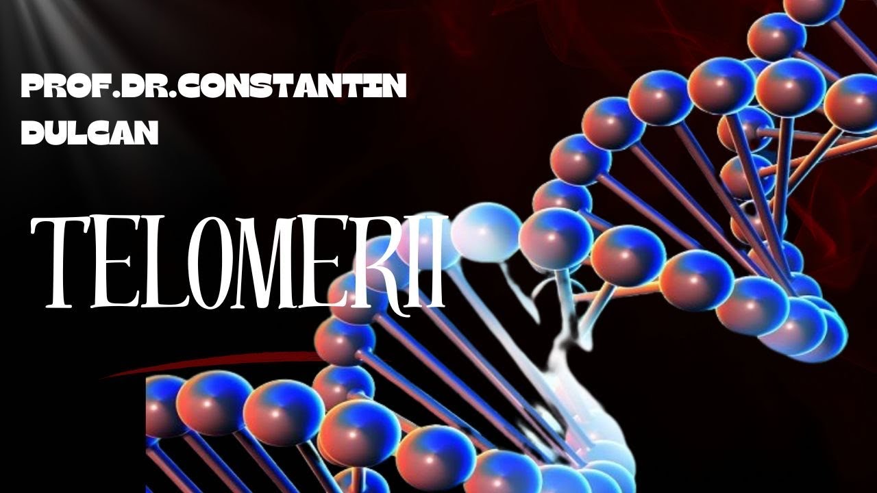 Dr. Constantin Dulcan |Telomerii: Secretele Vieții și Importanța Stresului