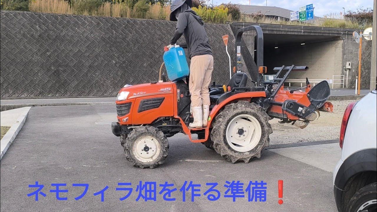 ネモフィラ畑を作るための準備