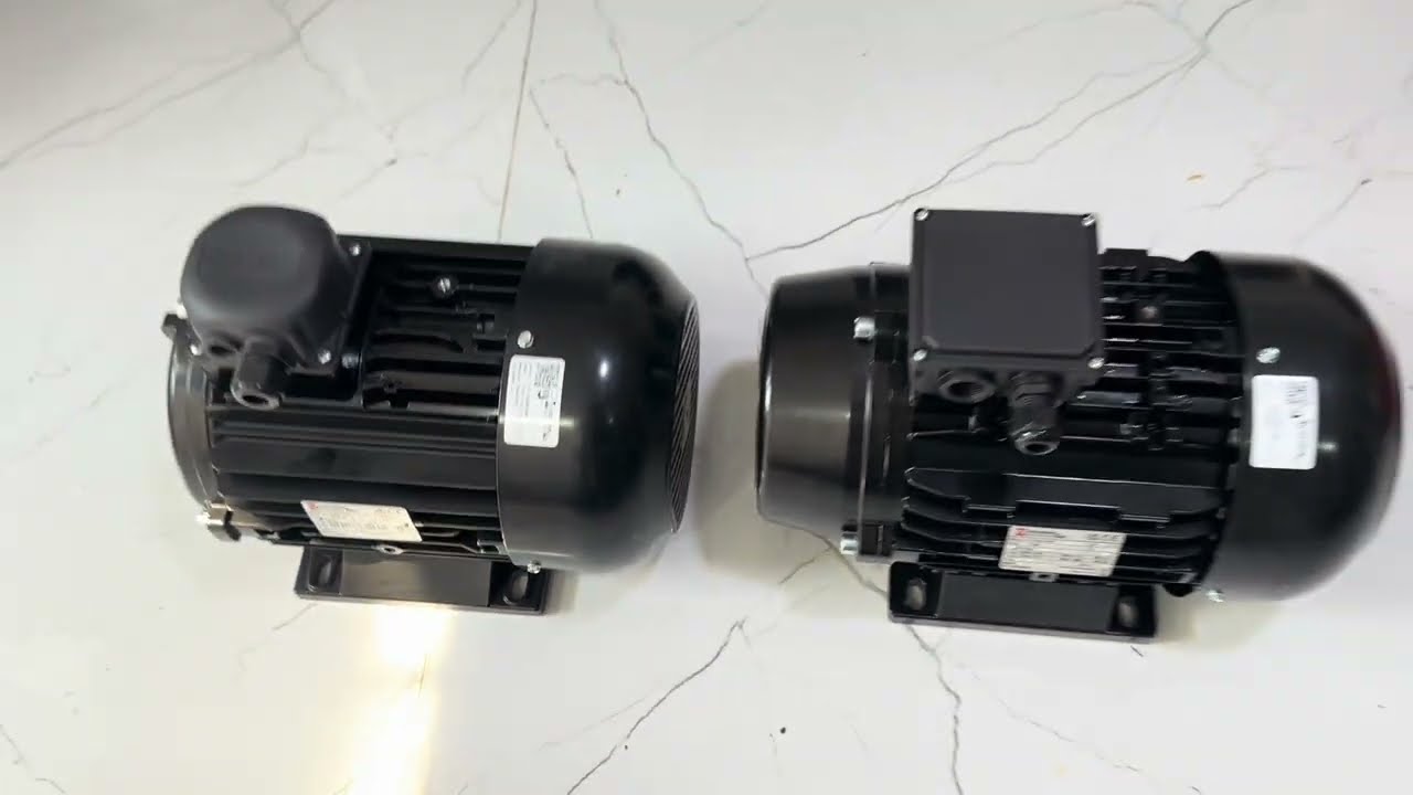 Tuấn QC Động cơ Điện P1 : Giới Thiệu Về Motor Nicolini cốt âm và double Flange 5,5kw 7,5hp