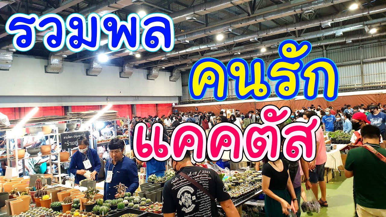 รวมพลคนรัก