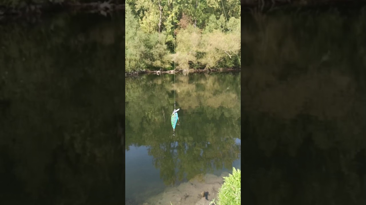 тест моей новой модели воблера #fishing #lure #test