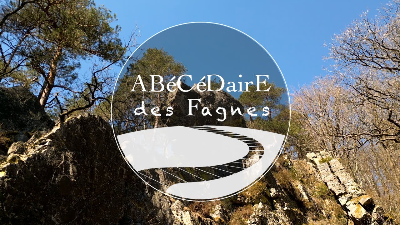 ABéCéDairE des Fagnes : Q comme Quartzite!