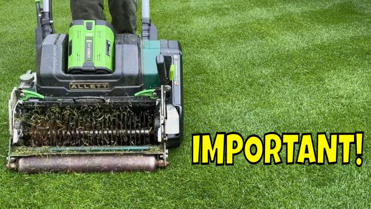 Two IMPORTANT Ways To HELP Keep LAWN DISEASE Away